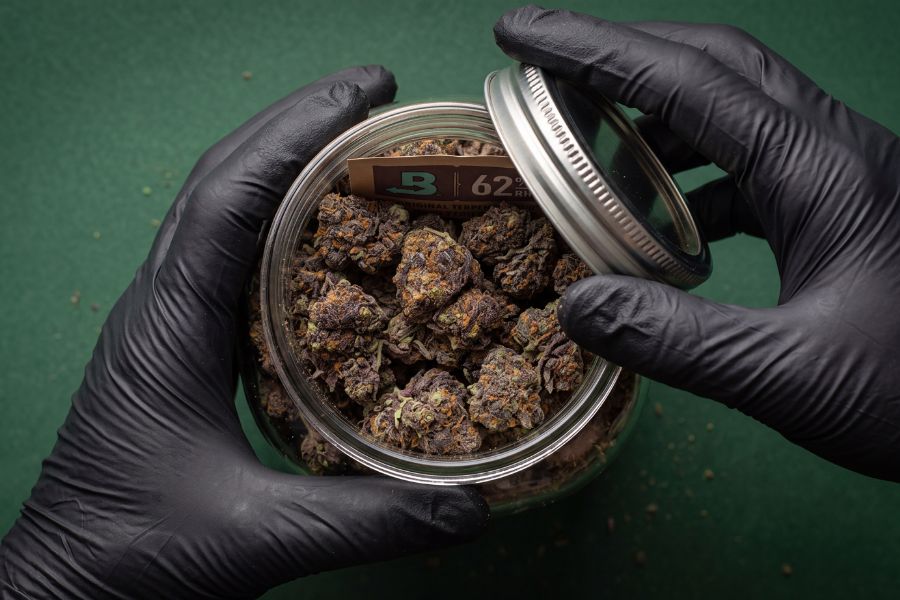 Cannabis buds in glass jar for long-term storage.