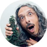 Kyle Kushman