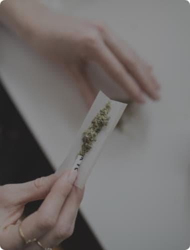 Feminized Seeds for Sale