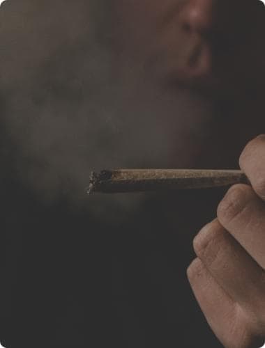 marijuana high THC seeds