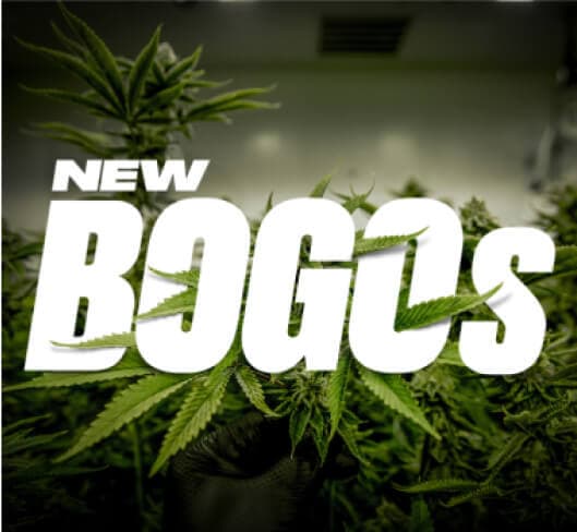 cms-discount-codes-promos-item__image