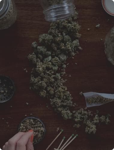 cheap cannabis seeds