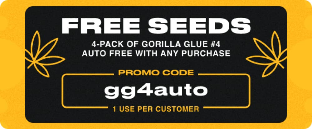 cms-discount-codes-active-item__image