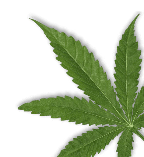 cms-course-leaf__img