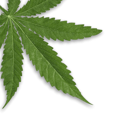 cms-course-leaf__img