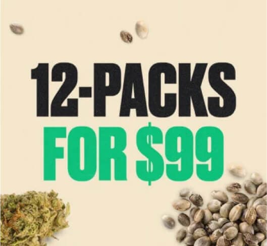 cms-discount-codes-promos-item__image