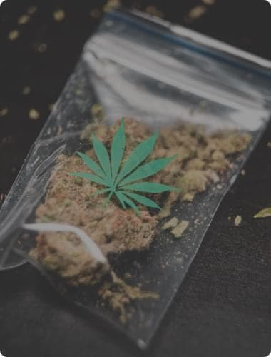 mini marijuana bag